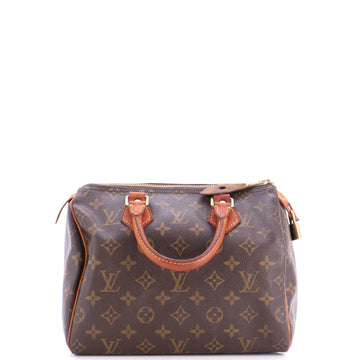 Louis Vuitton Speedy Handbag Canvas 25