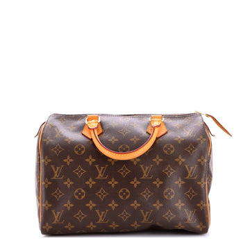 Louis Vuitton Speedy Handbag Canvas 30