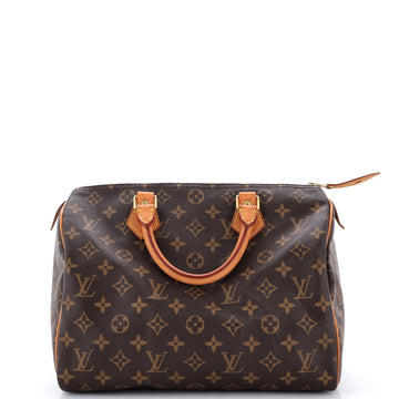 Louis Vuitton Speedy Handbag Canvas 30