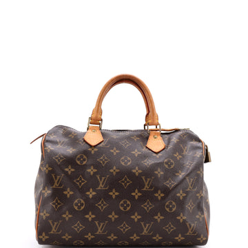 Louis Vuitton Speedy Handbag Canvas 30