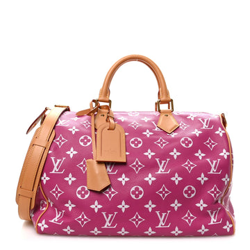Louis Vuitton Calfskin Speedy P9