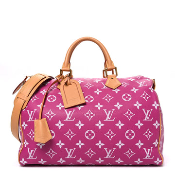 Louis Vuitton Calfskin Speedy P9