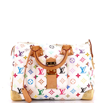 Louis Vuitton Speedy Handbag Multicolor