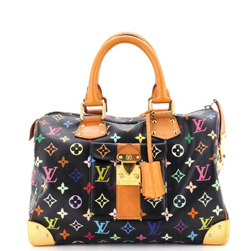Louis Vuitton Speedy Handbag Multicolor