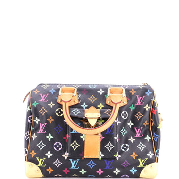 Louis Vuitton Speedy Handbag Multicolor