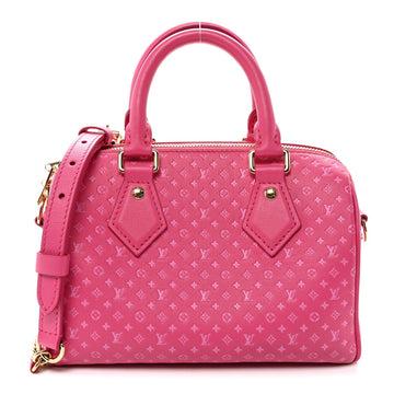 Louis Vuitton Calfskin Nanogram Embossed