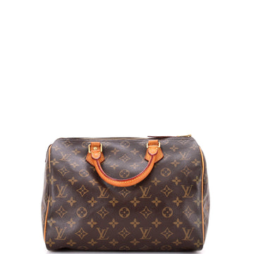 Louis Vuitton Speedy Handbag Canvas 30