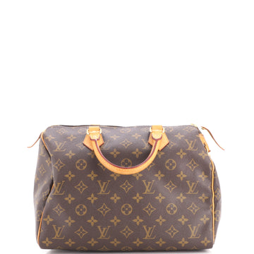 Louis Vuitton Speedy Handbag Canvas 30