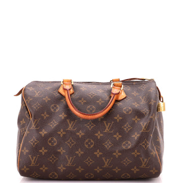 Louis Vuitton Speedy Handbag Canvas 30