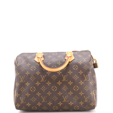 Louis Vuitton Speedy Handbag Canvas 30