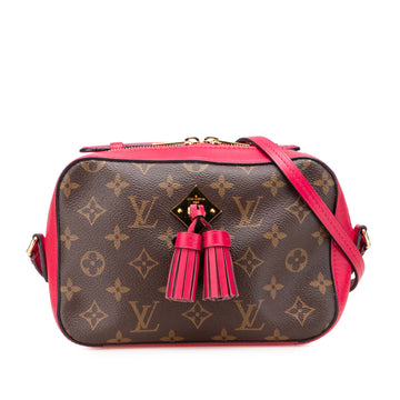 Louis Vuitton Saintonge Handbag Canvas