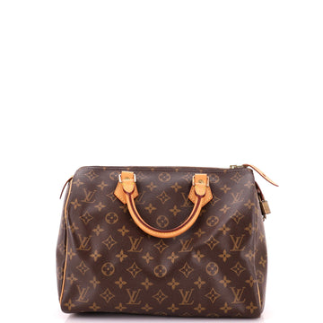 Louis Vuitton Speedy Handbag Canvas 30