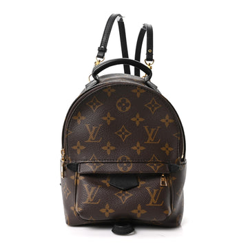 Louis Vuitton Palm Springs Backpack Mini