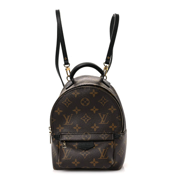 Louis Vuitton Palm Springs Backpack Mini