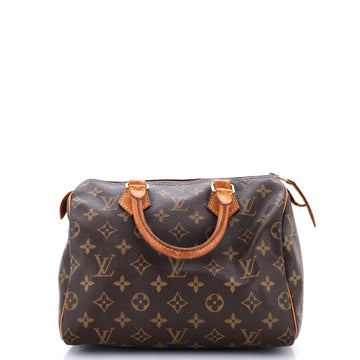 Louis Vuitton Speedy Handbag Canvas 25