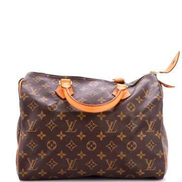 Louis Vuitton Speedy Handbag Canvas 30