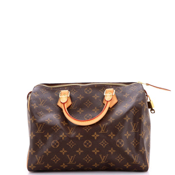 Louis Vuitton Speedy Handbag Canvas 30