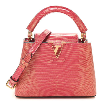 Louis Vuitton Metallic Lizard Capucines