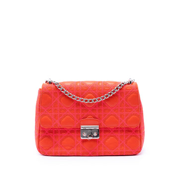 Dior Medium Embroidered Lambskin Cannage