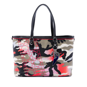 Dior Anselm Reyle Medium Canvas
