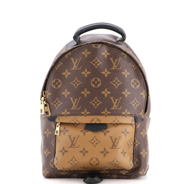 Louis Vuitton Palm Springs Backpack