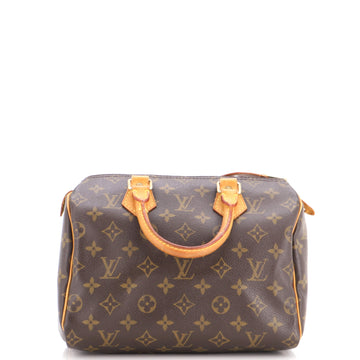 Louis Vuitton Speedy Handbag Canvas 25