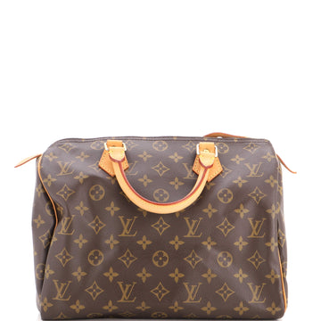 Louis Vuitton Speedy Handbag Canvas 30