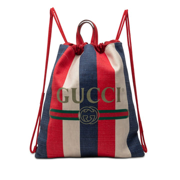Gucci Canvas Sylvie Baiadera Web