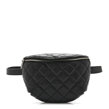 Chanel Calfskin Quilted Uniform Waist