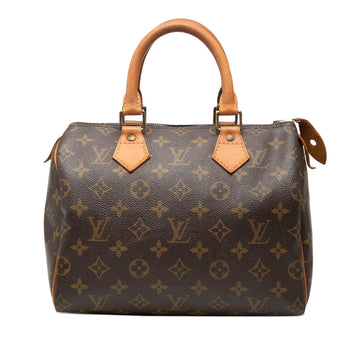 Louis Vuitton Speedy 25 Pre-Loved Boston