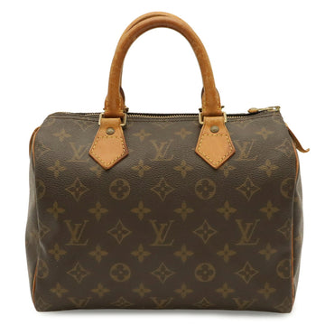 Louis Vuitton Speedy Handbag Canvas 25