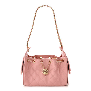 Caviar Quilted Mini Chanel 25 Handbag