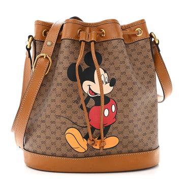 Gucci X Disney Mini Vintage Gg Supreme