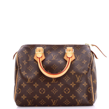 Louis Vuitton Speedy Handbag Canvas 25