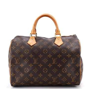 Louis Vuitton Speedy Handbag Canvas 30