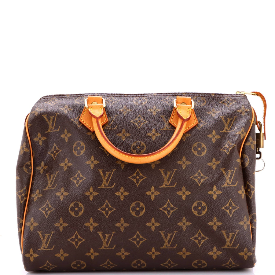 Louis Vuitton Speedy Handbag Canvas 30