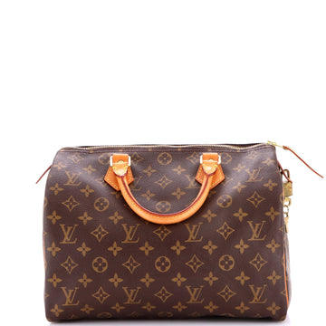 Louis Vuitton Speedy Handbag Canvas 30