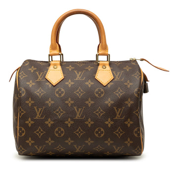 Louis Vuitton Speedy 25 Pre-Loved Boston