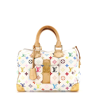 Louis Vuitton Speedy Handbag Multicolor