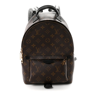 Louis Vuitton Palm Springs Backpack Pm
