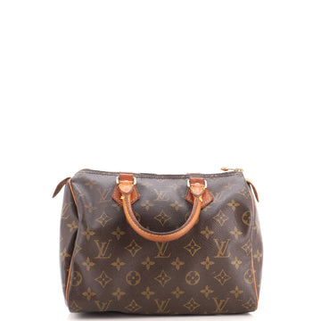 Louis Vuitton Speedy Handbag Canvas 25