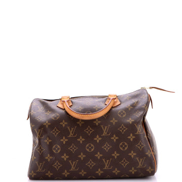 Louis Vuitton Speedy Handbag Canvas 30