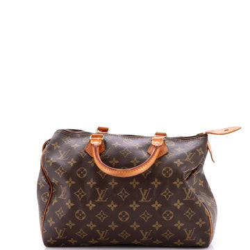Louis Vuitton Speedy Handbag Canvas 30