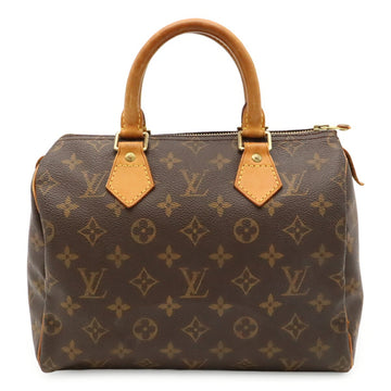 Louis Vuitton Speedy Handbag Canvas 25