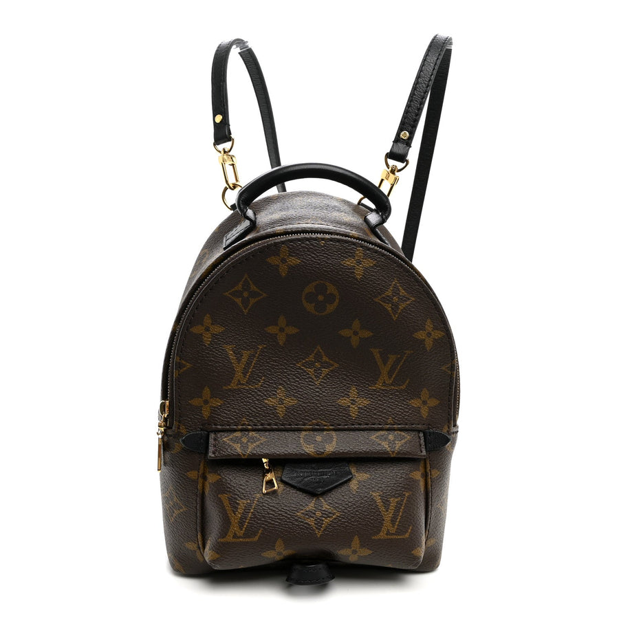 Louis Vuitton Palm Springs Backpack Mini