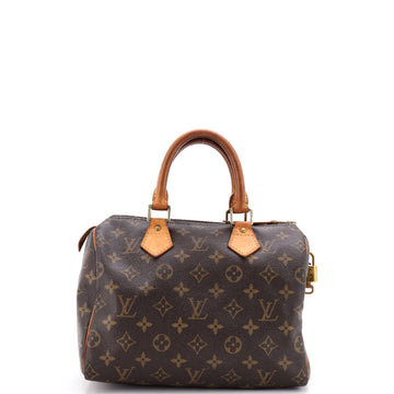 Louis Vuitton Speedy Handbag Canvas 25