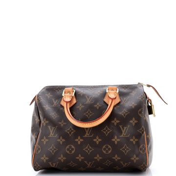 Louis Vuitton Speedy Handbag Canvas 25