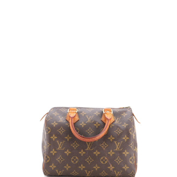 Louis Vuitton Speedy Handbag Canvas 25