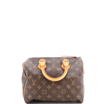 Louis Vuitton Speedy Handbag Canvas 25