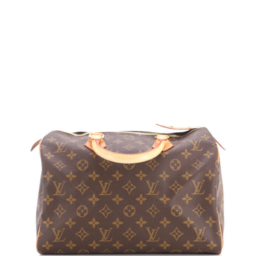 Louis Vuitton Speedy Handbag Canvas 30